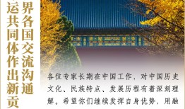 探索中国文化知识文库官网，传承与创新的桥梁