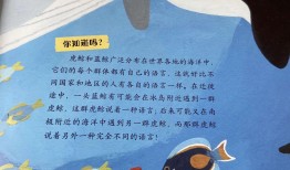 百科常识读后感，知识的海洋与智慧的灯塔