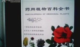 百科全书，跨学科知识的宝库