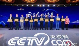 探索央视官方网站，了解中国国家级媒体的窗口