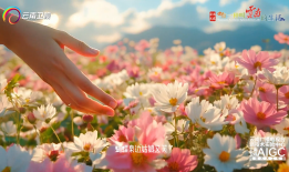 播放花花的寓意，音乐与文化交织的艺术表达
