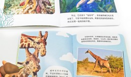 动物百问百答，探索自然奥秘的趣味之旅