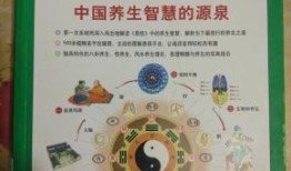 百科全书，知识的宝库与智慧的源泉