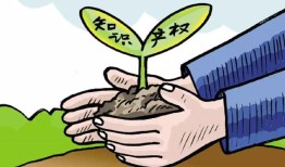 熊猫形象的知识产权保护与打假行动