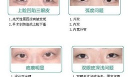 百科大全书中的知识点，探索知识的海洋
