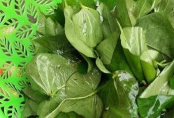 探索降糖茶，天然草本饮品的潜力