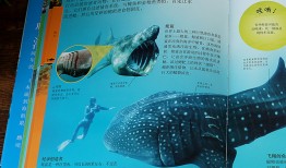 百科全书里的知识，探索知识的海洋