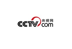 探索央视官方网站，了解中国国家级媒体的窗口