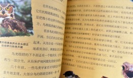 动物百问百答，探索自然奥秘的趣味之旅