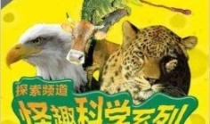 动物百科全书，探索自然界的奇妙之旅