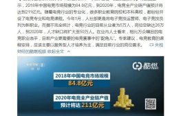 央视网主页域名解析及其背后的故事