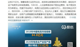 央视网主页域名解析及其背后的故事