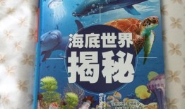百科全书大全，知识的海洋与智慧的宝库
