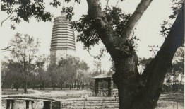 中国地理知识百科全书，探索华夏大地的奥秘