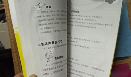 小学生基础知识大全书电子版，开启智慧之门的数字钥匙