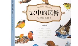 动物百科全书，探索自然界的奇妙之旅