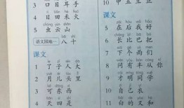 小学生识字带拼音，开启智慧之门的第一步