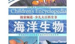 探索知识的海洋，百科搜索入口网站的全面解析