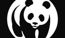 熊猫与知识产权，文化象征与法律保护的双重奏