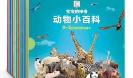 动物百科全书，探索自然界的奇妙之旅