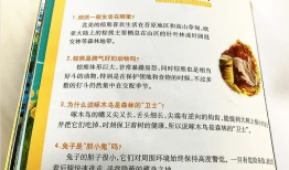 如何编写简单易懂的儿童百科问答