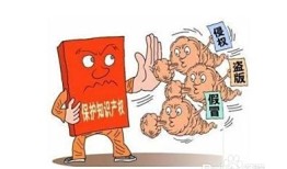 熊猫形象的知识产权保护与打假行动