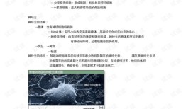公基必背100个知识点，蜗牛的慢生活哲学