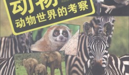 探索动物王国，揭秘动物世界的科普知识