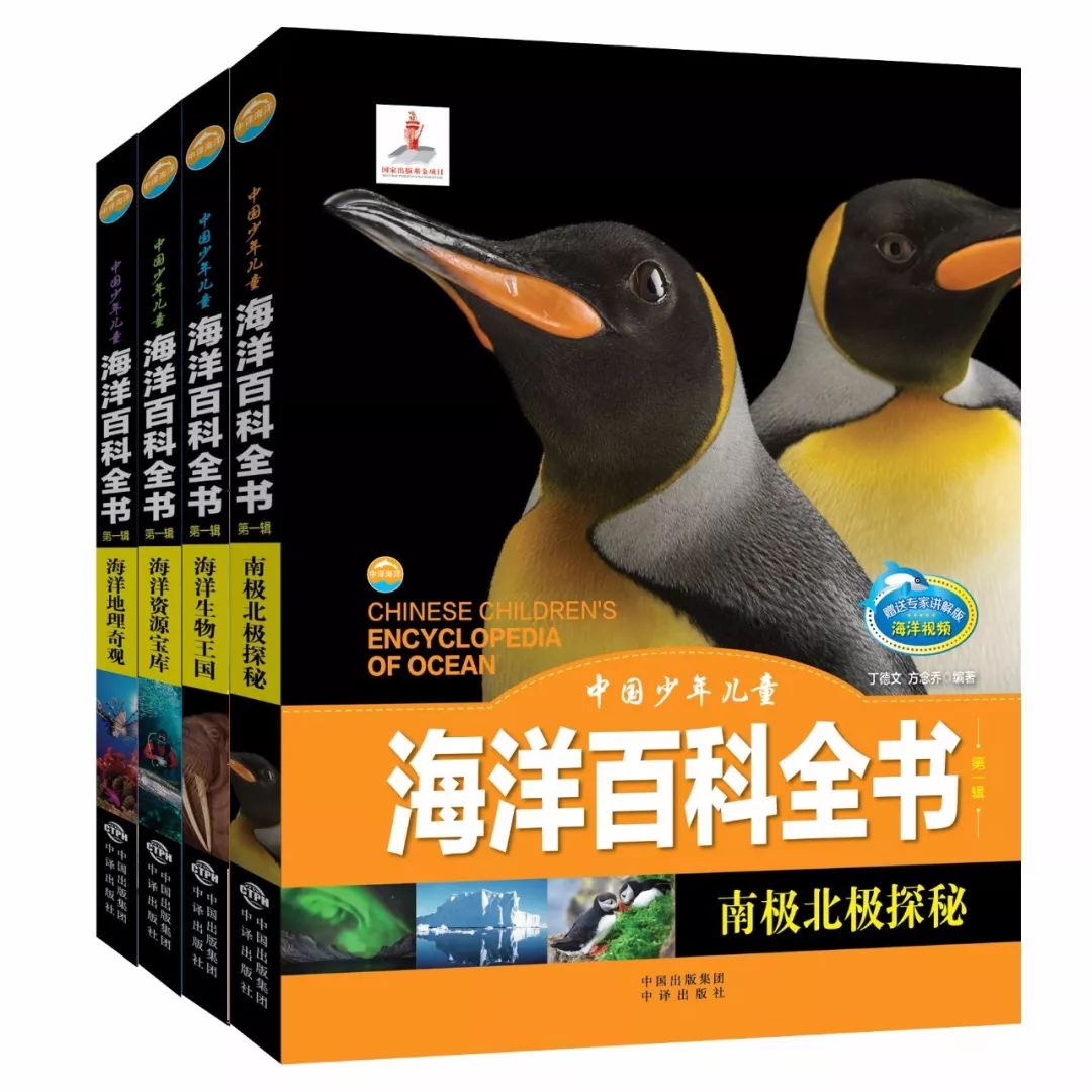 投资者互动平台官网，连接资本市场与投资者的桥梁