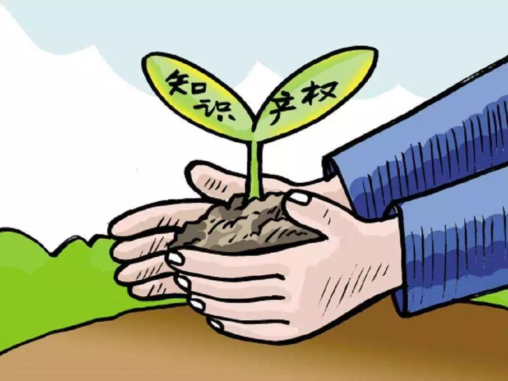 探索可欣互动平台官网，连接你我，共享无限可能