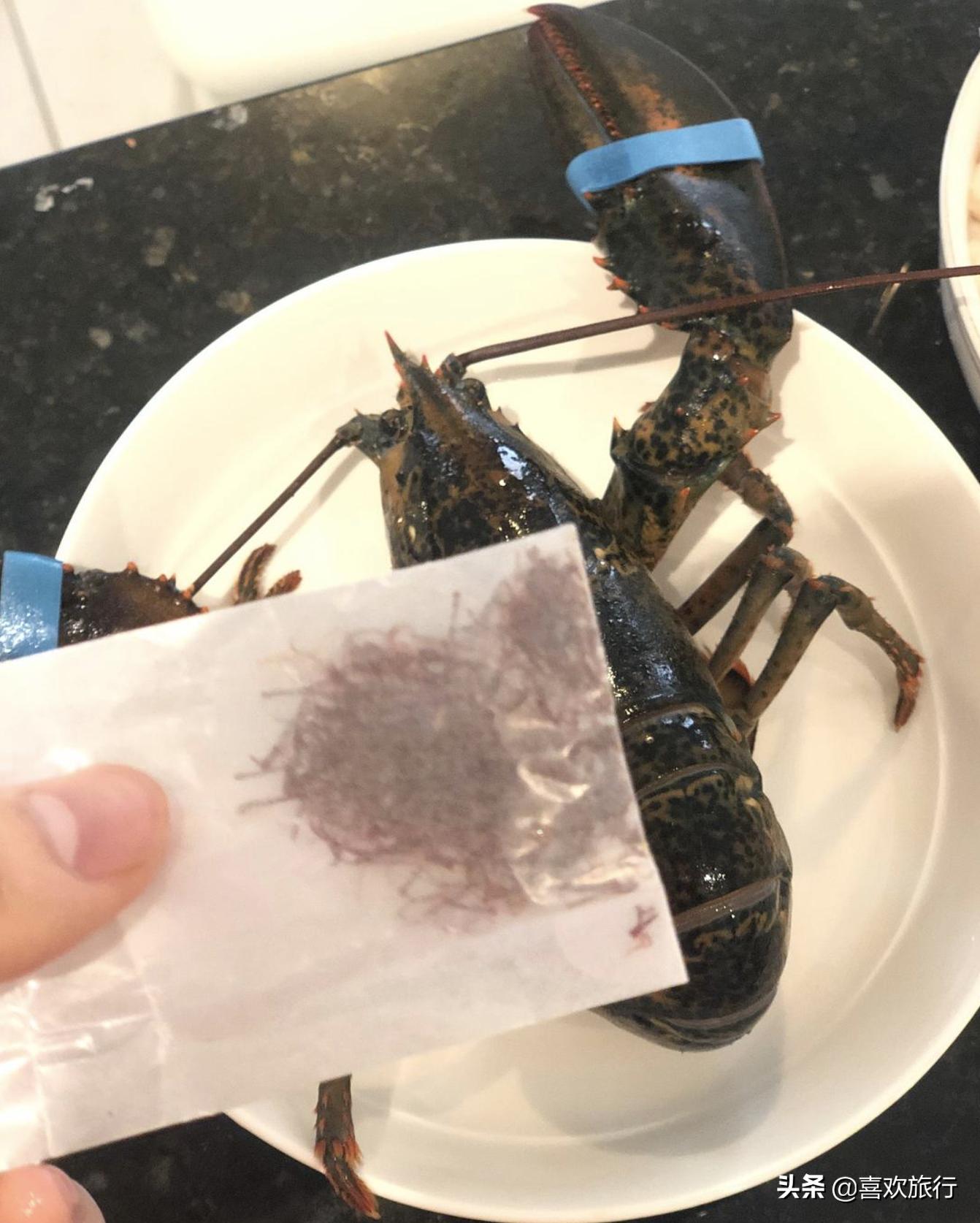 藏红花的完美搭配，提升健康与美味的秘诀