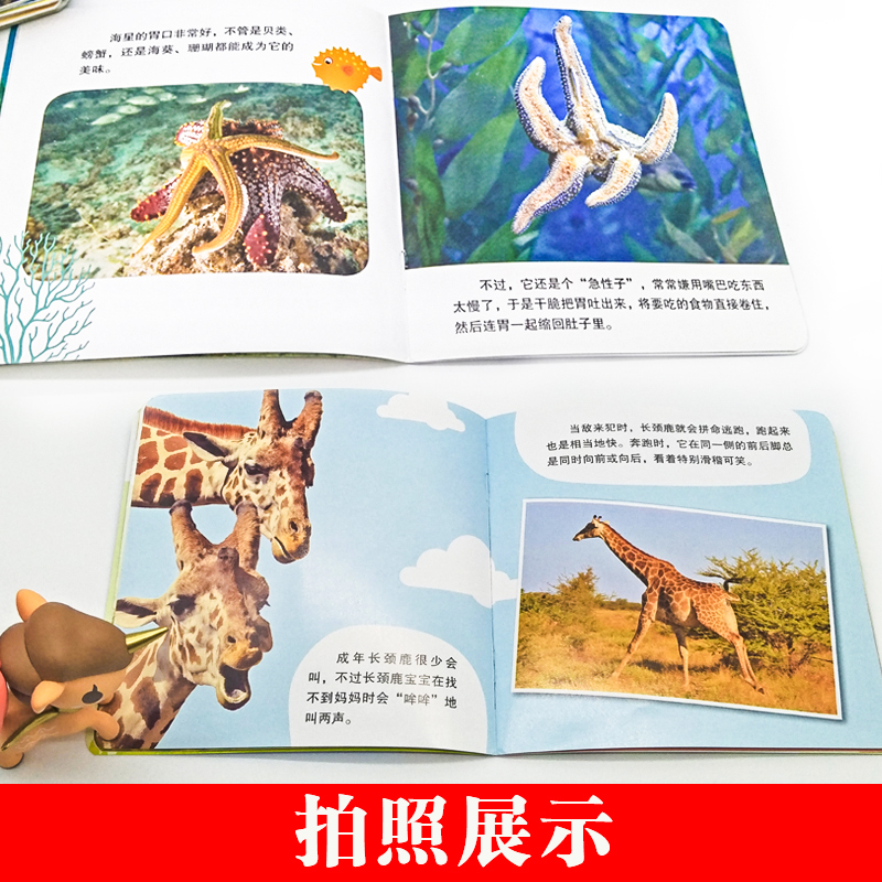 动物百问百答，探索自然奥秘的趣味之旅