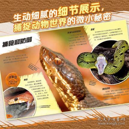 动物百科知识视频，探索生命的奥秘